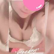 ひかり 風強いね ゴールドクイーン