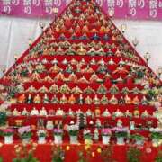 ヒメ日記 2026/02/20 20:16 投稿 ひかり ゴールドクイーン