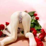 ヒメ日記 2025/07/19 09:41 投稿 ゆきほ エデン