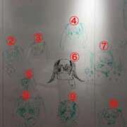 ヒメ日記 2025/11/18 22:01 投稿 ゆきほ エデン