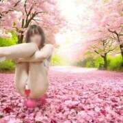 ヒメ日記 2026/04/11 18:21 投稿 ゆきほ エデン