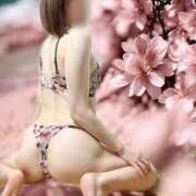 ゆきほ 本指名🌹90分コースでお越しくださり誠にありがとうございます🌼 エデン