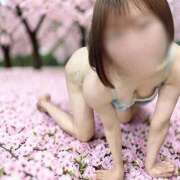 ヒメ日記 2026/04/29 16:31 投稿 ゆきほ エデン