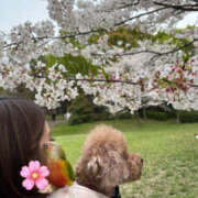 ヒメ日記 2026/04/09 05:11 投稿 きい ビギナーズ和歌山