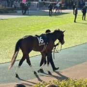 ヒメ日記 2025/02/19 18:42 投稿 まお One More奥様　立川店