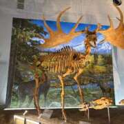 ヒメ日記 2025/06/11 19:23 投稿 まお One More奥様　立川店