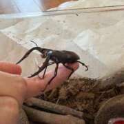 ヒメ日記 2025/08/01 14:09 投稿 まお One More奥様　立川店