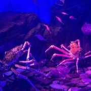 ヒメ日記 2025/09/04 14:29 投稿 まお One More奥様　立川店