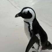 ヒメ日記 2025/09/09 12:41 投稿 まお One More奥様　立川店