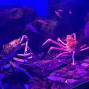 ヒメ日記 2026/02/11 12:26 投稿 まお One More奥様　立川店