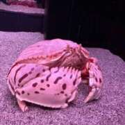 ヒメ日記 2026/03/10 11:19 投稿 まお One More奥様　立川店