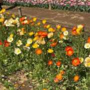 ヒメ日記 2026/04/15 11:59 投稿 まお One More奥様　立川店