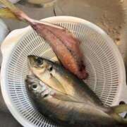 ヒメ日記 2026/05/07 11:13 投稿 まお One More奥様　立川店