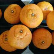 ヒメ日記 2025/04/02 20:38 投稿 加奈 ニューヨークニューヨーク