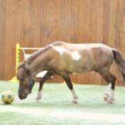 ヒメ日記 2025/05/02 22:04 投稿 加奈 ニューヨークニューヨーク