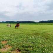 ヒメ日記 2025/08/12 23:06 投稿 加奈 ニューヨークニューヨーク