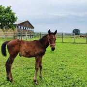 加奈 今日は ニューヨークニューヨーク