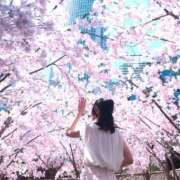 ヒメ日記 2025/03/25 08:54 投稿 Ayame ワンカラット～人妻の輝き～