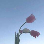 ヒメ日記 2025/09/19 20:56 投稿 Ayame ワンカラット～人妻の輝き～