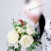 ヒメ日記 2026/02/12 14:01 投稿 Ayame ワンカラット～人妻の輝き～