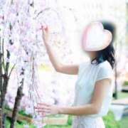 ヒメ日記 2026/02/22 14:02 投稿 Ayame ワンカラット～人妻の輝き～