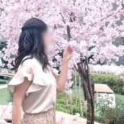 ヒメ日記 2026/03/10 08:42 投稿 Ayame ワンカラット～人妻の輝き～