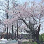 ヒメ日記 2026/03/29 19:03 投稿 Ayame ワンカラット～人妻の輝き～