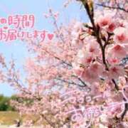 ヒメ日記 2025/03/17 09:45 投稿 宮川 人妻楼 熊谷店