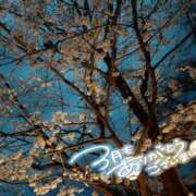 ヒメ日記 2025/04/01 10:30 投稿 宮川 人妻楼 熊谷店