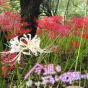 ヒメ日記 2025/09/30 11:30 投稿 宮川 人妻楼 熊谷店