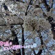 宮川 綺麗🌸 人妻楼 熊谷店