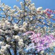 宮川 今日から 人妻楼 熊谷店