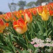 ヒメ日記 2026/04/13 12:00 投稿 宮川 人妻楼 熊谷店