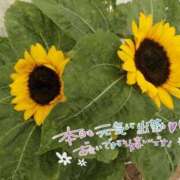 ヒメ日記 2026/07/18 09:45 投稿 宮川 人妻楼 熊谷店