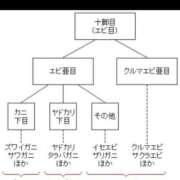 ヒメ日記 2024/11/09 12:04 投稿 たかこ One More奥様　立川店