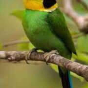 ヒメ日記 2025/03/27 15:26 投稿 たかこ One More奥様　立川店