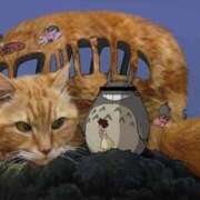 ヒメ日記 2025/06/21 11:59 投稿 たかこ One More奥様　立川店