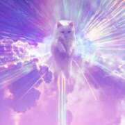 ヒメ日記 2026/01/15 12:25 投稿 たかこ One More奥様　立川店