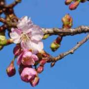 ヒメ日記 2025/03/01 12:37 投稿 服部いつき ハプニング痴漢電車or全裸入室