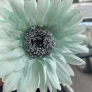 ヒメ日記 2025/07/04 18:37 投稿 服部いつき ハプニング痴漢電車or全裸入室