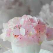 ヒメ日記 2025/09/19 18:37 投稿 服部いつき ハプニング痴漢電車or全裸入室