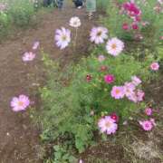 ヒメ日記 2025/10/22 15:57 投稿 服部いつき ハプニング痴漢電車or全裸入室