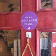 ヒメ日記 2025/06/02 14:15 投稿 れんげ プレイガール(亀有)