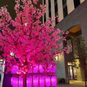 ヒメ日記 2026/03/29 12:33 投稿 れんげ プレイガール(亀有)