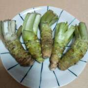 ヒメ日記 2025/05/11 19:15 投稿 姫路もえ 五反田発 痴漢電車or全裸入室