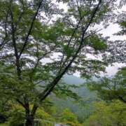 ヒメ日記 2025/07/17 17:49 投稿 姫路もえ 五反田発 痴漢電車or全裸入室