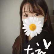 ヒメ日記 2026/01/25 14:05 投稿 姫路もえ 五反田発 痴漢電車or全裸入室