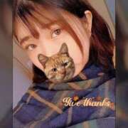 ヒメ日記 2025/03/19 21:01 投稿 えい 日暮里・西日暮里サンキュー