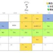 ヒメ日記 2025/05/02 15:31 投稿 えい 日暮里・西日暮里サンキュー