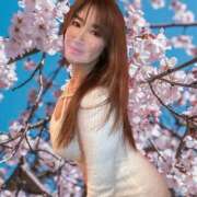 ヒメ日記 2025/02/11 12:31 投稿 鈴木けい子 ローテンブルク